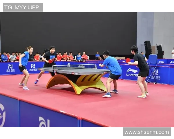 杭州乒乓球队运营模式分析与发展策略探讨